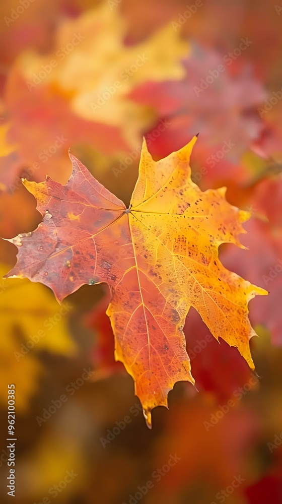 A close-up of a vibrant autumn leaf showcasing orange and yellow hues. A close-up of a vibrant autumn leaf showcasing orange and yellow hues.