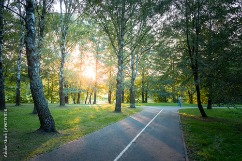 A path in a park with trees and a bench