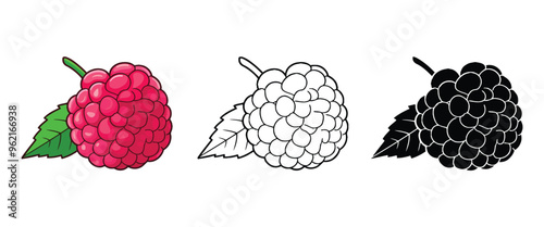 Raspberry vector illustration, outline, silhouette, on white background