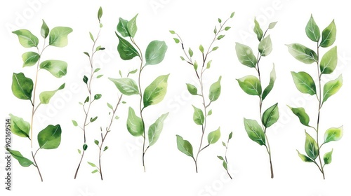 Watercolor illustration of six different green leaves branches isolated on white background.