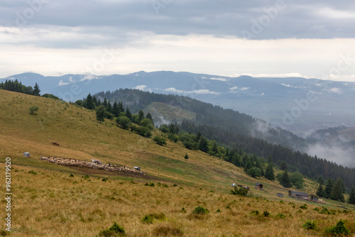 Wiese und Berge in Rumänien