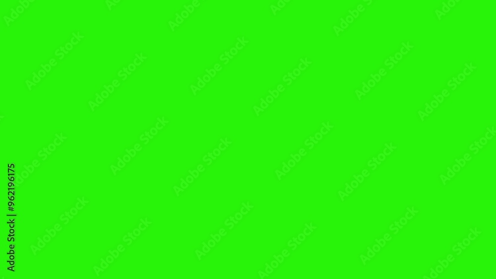 Autumn leaves design elements animation on the green screen Autumn leaves design elements animation on the green screen