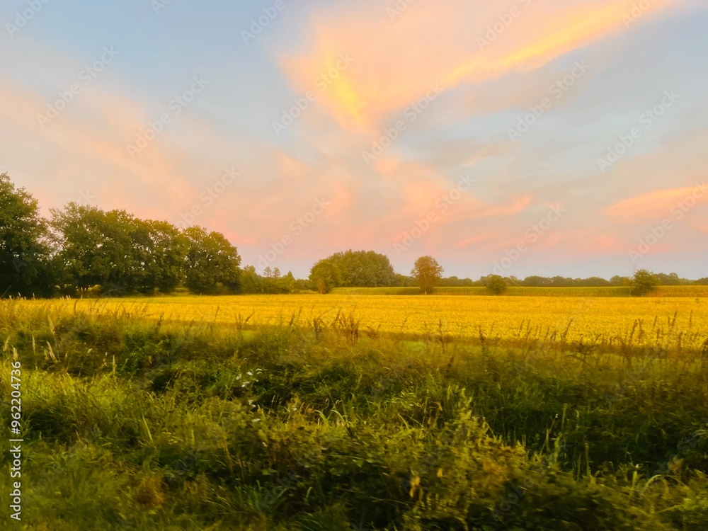 Obraz premium Fantastic sunset sky in the green field, twilights in the countryside