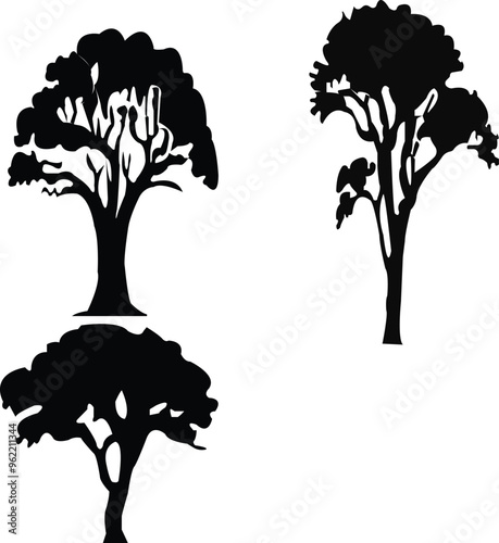 Black tree silhouettes on white background. Vector illustration. ,tree, eucalyptus tree