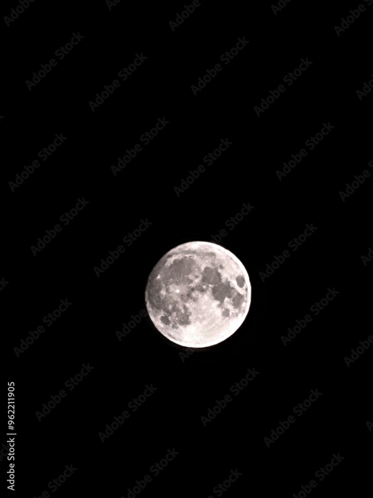Obraz premium Full moon in the night