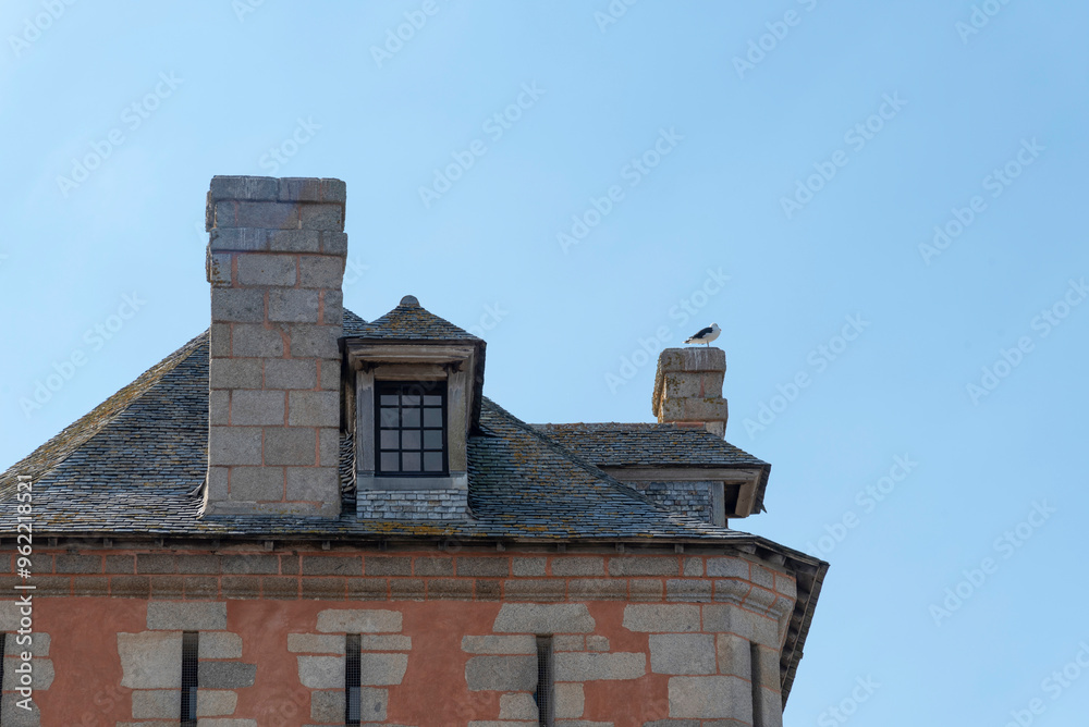 detail of seagull on the roof of the Vauban tower detail of seagull on the roof of the Vauban tower
