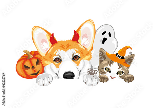 Peeking Welsh Corgi dog and cute cat with Halloween fancy accessories