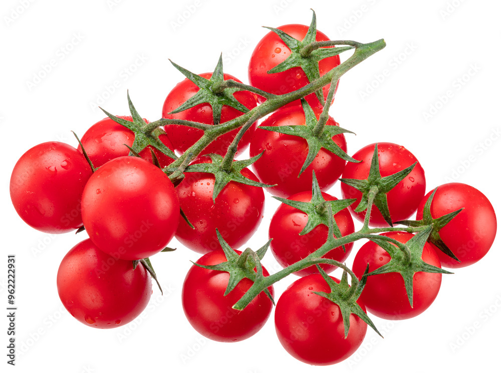 Clusters of ripe cherry tomatoes covered with water drops isolated on white background.