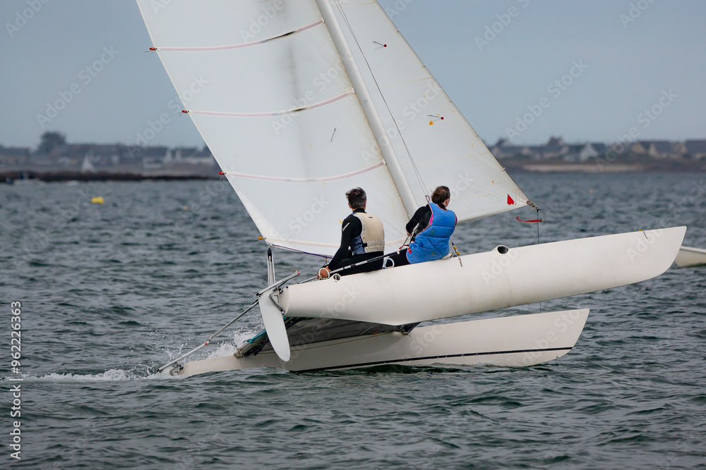 Naklejka premium Catamaran