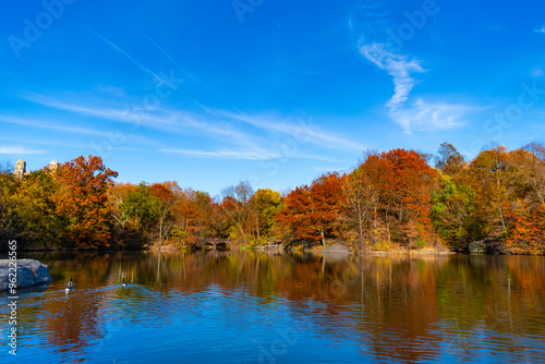 New york autumn. Fall nature landscape. Autumn nature in Central park. Seasonal fall landscape. Park autumn tree and pond in New York. Scenic fall. Central park in autumn. Autumn landscape with pond