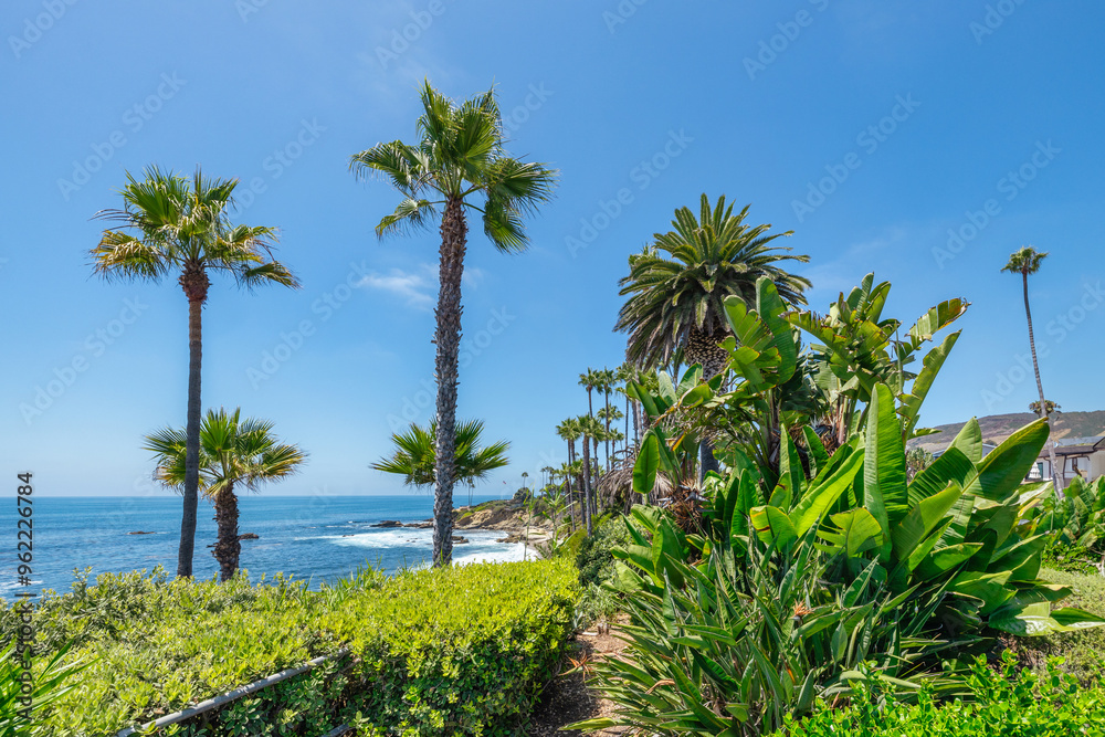 Beautiful landscape of Laguna Beach ocean coastline with palm trees in Treasure Island Park, Orange County, California, USA Beautiful landscape of Laguna Beach ocean coastline with palm trees in Treasure Island Park, Orange County, California, USA