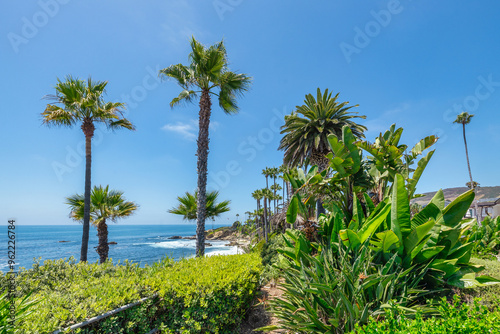 Beautiful landscape of Laguna Beach ocean coastline with palm trees in Treasure Island Park, Orange County, California, USA