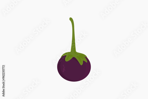 Illustration of round purple eggplant for salad on white background.