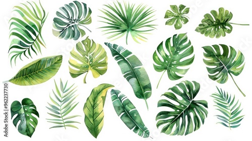 A collection of 17 watercolor illustrations of various tropical leaves, including monstera, palm, banana, and fern leaves, isolated on a white background.