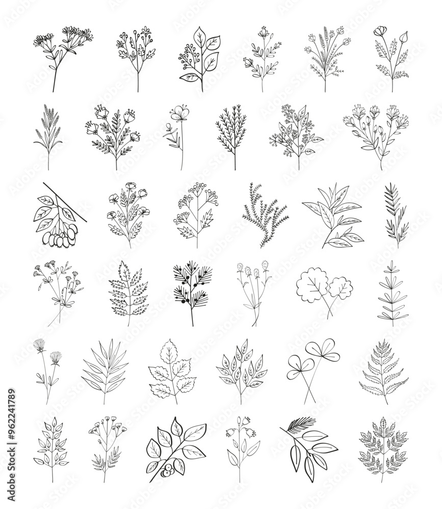 Fototapeta premium Big set autumn summer spring twigs of wild plants with flowers, leaves and buds drawn by hand with one line. Flat doodle style. Vector illustration.