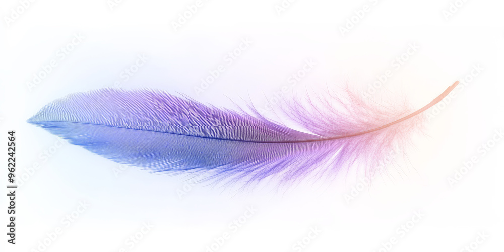 A soft, gradient feather transitioning from purple to blue, isolated beautifully against a clean white background. A soft, gradient feather transitioning from purple to blue, isolated beautifully against a clean white background.