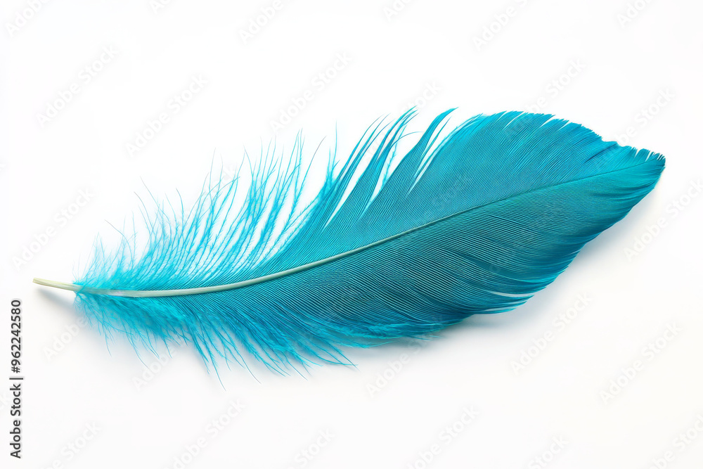 Fototapeta premium A vibrant turquoise feather with sharp, intricate barbs, floating gracefully against a clean white backdrop.