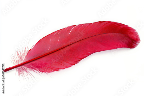 A majestic red feather, perfectly detailed and isolated against a bright white background, creating a striking visual contrast.