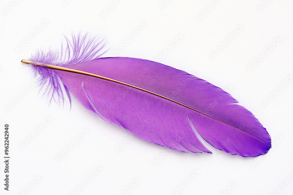 A single violet feather with a slight sheen, intricately detailed, resting gently against a clean white background. A single violet feather with a slight sheen, intricately detailed, resting gently against a clean white background.