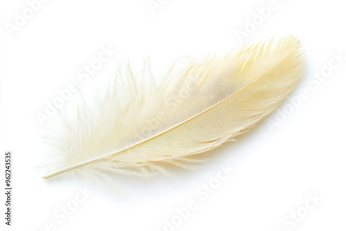 A pale yellow feather with soft, frayed edges and intricate details, isolated perfectly against a white background. photo