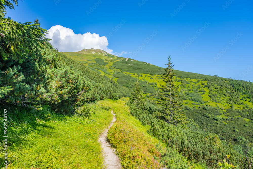 A scenic hiking trail winds through lush greenery, leading towards the majestic Dumbier Mountain in the Low Tatras of Slovakia under a clear blue sky. Adventure awaits in nature's beauty. A scenic hiking trail winds through lush greenery, leading towards the majestic Dumbier Mountain in the Low Tatras of Slovakia under a clear blue sky. Adventure awaits in nature's beauty.