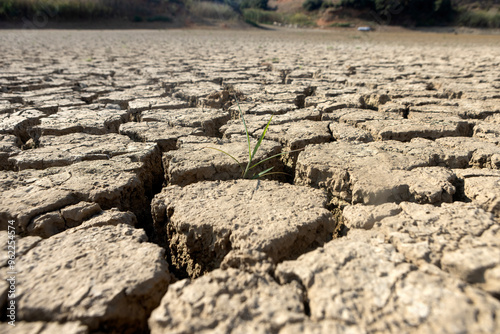 The lake at Kato Scholari, a little outside Thessaloniki, Greece, turned into a desert. photo