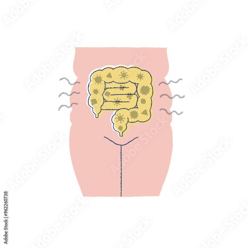 不健康な腸内環境・悪玉菌の多い腸・肥満体