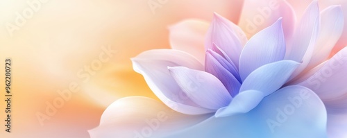 Beautiful abstract background featuring soft pastel colors and delicate flower petals in a serene and calming composition