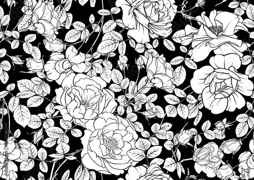 Rose flowers, Seamless pattern, background. Vector illustration. Outline hand drawing.