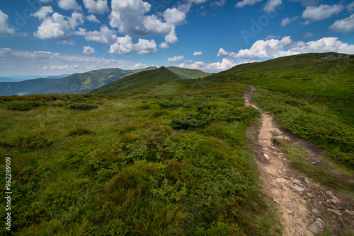 Panorama of the Chornohirskyi ridge, hiking trails, alpine grass with a beaut...