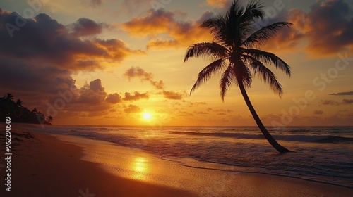   A palm tree rests atop a beach beside the ocean as the sun sets beyond it