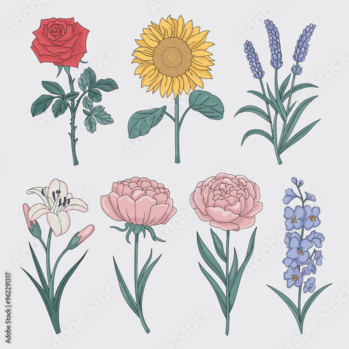 A collection of beautifully illustrated flowers including a rose, sunflower, lavender, lily, peonies, and delphinium.