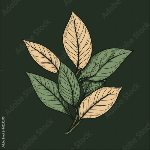 Botanical High-Quality Vector Logo photo