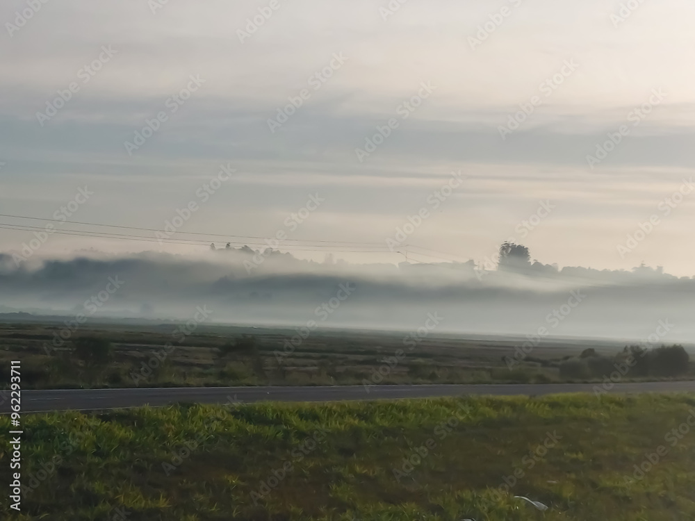 neblina no campo neblina no campo