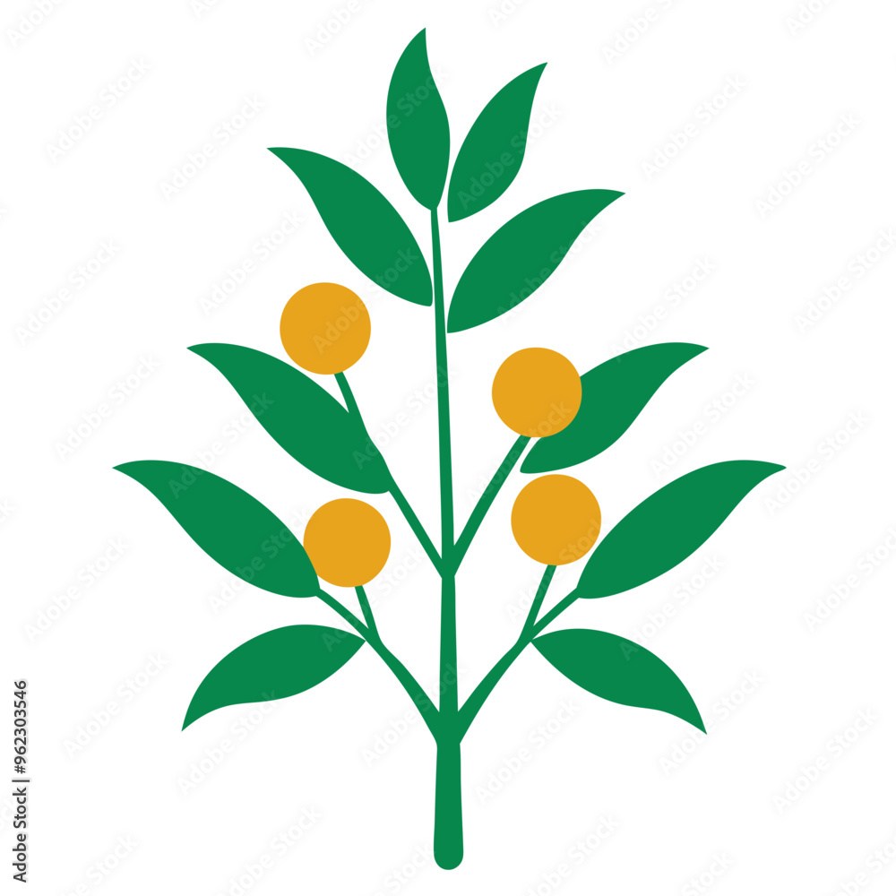 Graphic of a stylized green plant with yellow round fruits on a white background Graphic of a stylized green plant with yellow round fruits on a white background