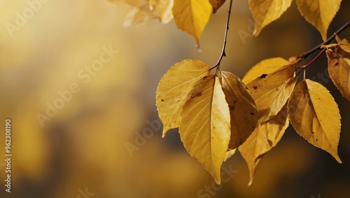 Autumn leaves on a bright yellow background, providing space for text or design.