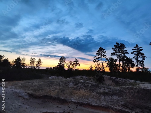 Sunset in a pine forest. Blue sky. Night forest and bright sky. Pine trees against the blue night sky.