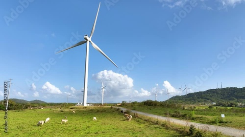 Slow, push in shot of a wind farm and cow pasture, rising to show distant mountains near Naguabo, Puerto Rico.