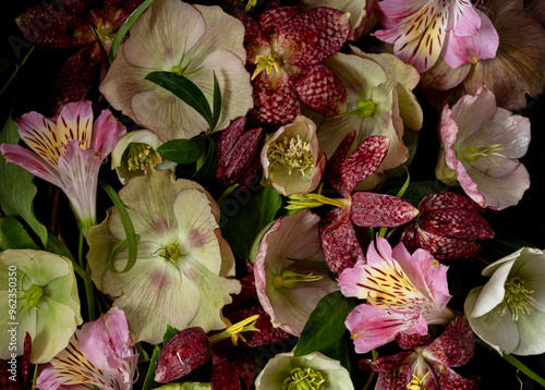 Festive Floral Banner with Hellebore, Fritillaria and Alstroemeria. Moody flora photo