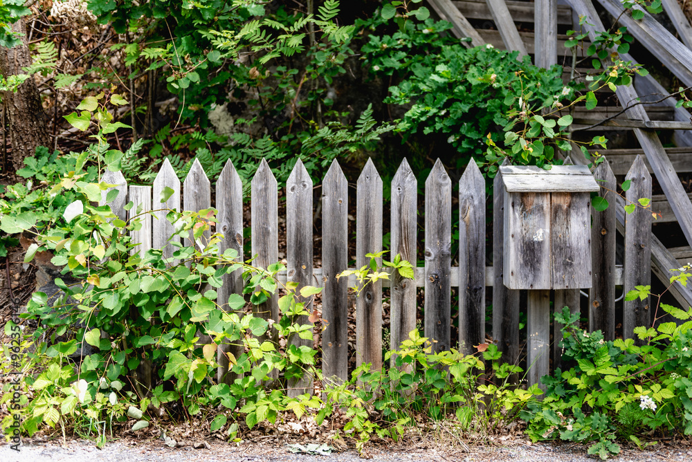 Wooden fence with mailbox. Broken fences and bushes. Wooden fence with mailbox. Broken fences and bushes.