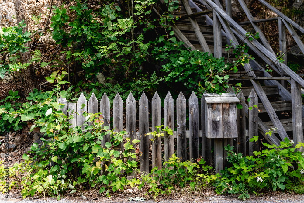 Wooden fence with mailbox. Broken fences and bushes. Wooden fence with mailbox. Broken fences and bushes.