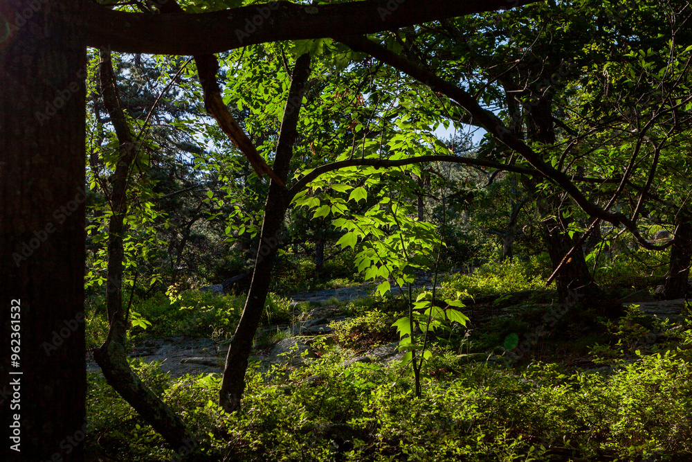 Naklejka premium Shawangunk Ridge, New York, USA