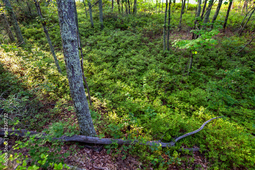 Shawangunk Ridge, New York, USA photo