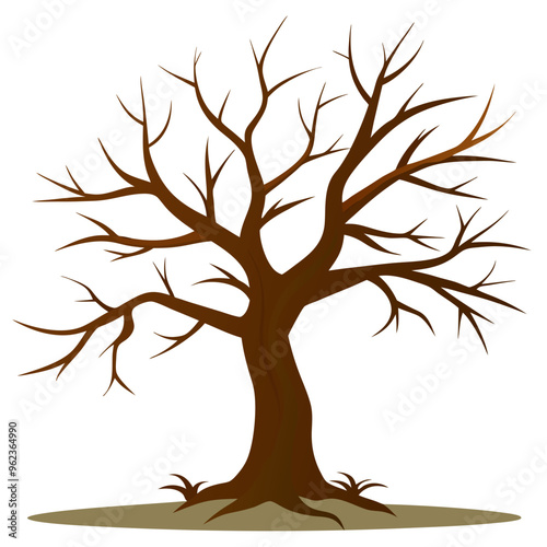 A leafless tree stands alone on a stark white background, showcasing its form
