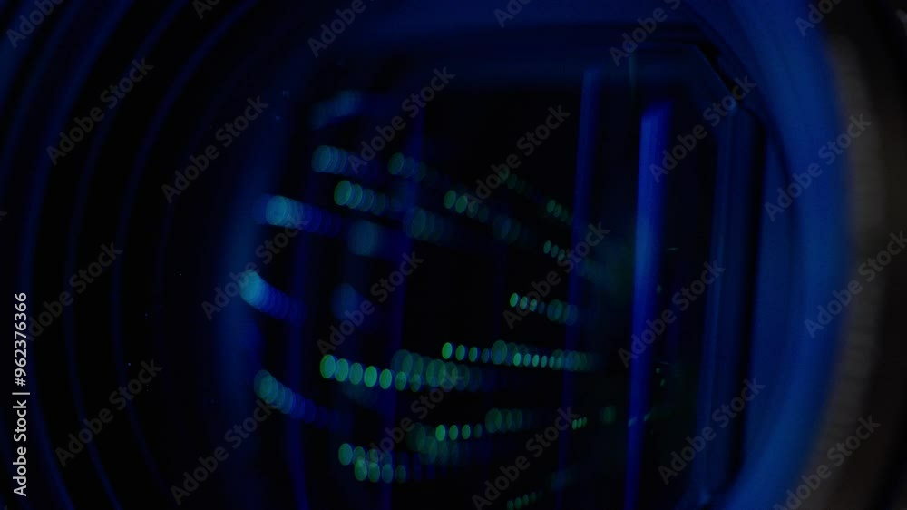Cybernetic Reflections