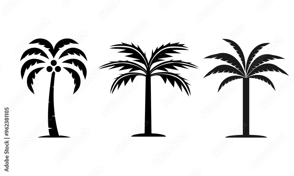 Fototapeta premium Three Different Styles of Palm Trees