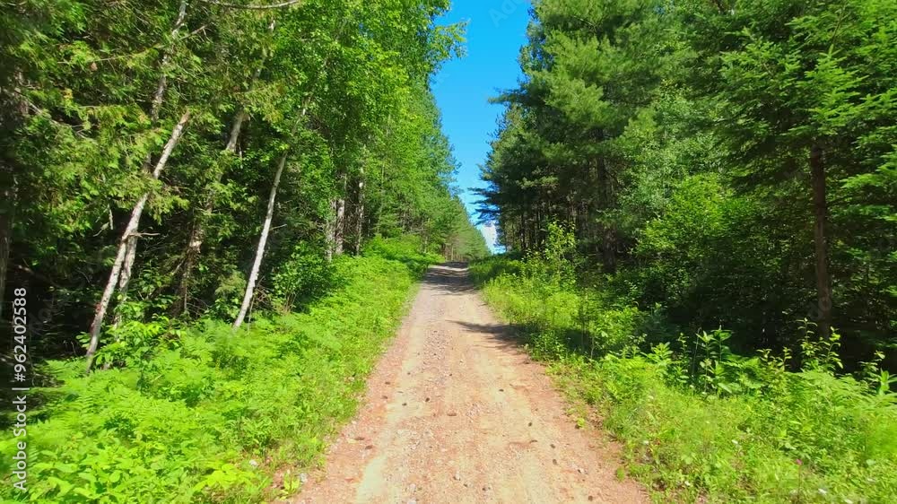 Scenic back view driving plate of dirt road during sunny summer exploration adventure. Driving down mountain muddy off road in western Canada. North America in the country side travel. POV.