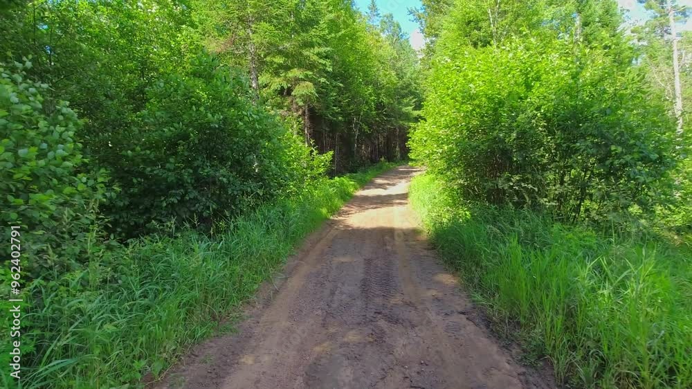 Scenic back view driving plate of dirt road during sunny summer exploration adventure. Driving down mountain muddy off road in western Canada. North America in the country side travel. POV. Scenic back view driving plate of dirt road during sunny summer exploration adventure. Driving down mountain muddy off road in western Canada. North America in the country side travel. POV.