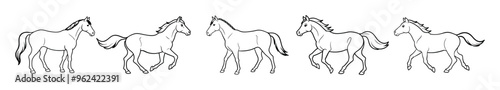 Black and white outline illustrations of five walking horses isolated on a white background. Concept of horse illustrations, equine motion, animal drawings, and movement sequences. Coloring page