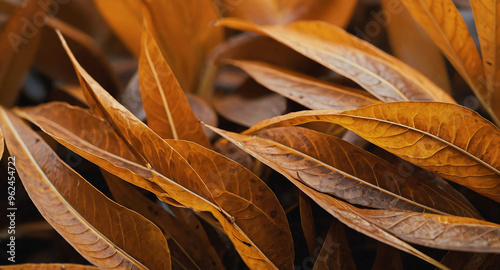 Orange and brown leaf shapes abstract background photo